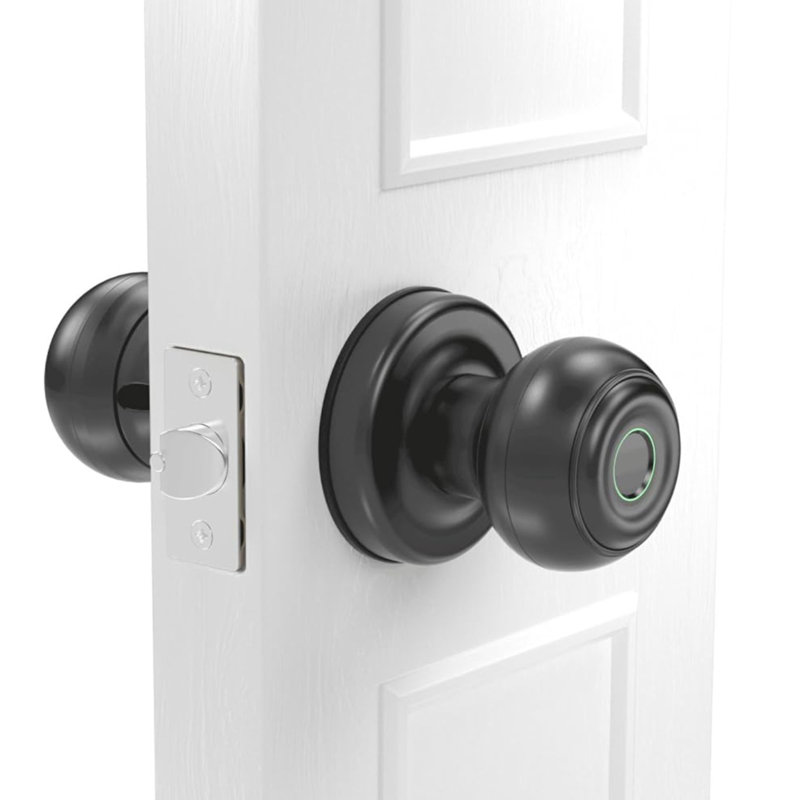 GeekTale 3in1 Fingerprint, App, Backup Keys Smart Door Lock & Reviews
